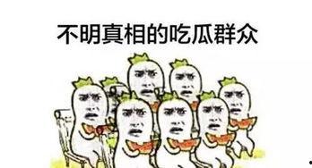 瓜瓜吃瓜ppt 社会热点素材2025,盘点年度社会热点素材