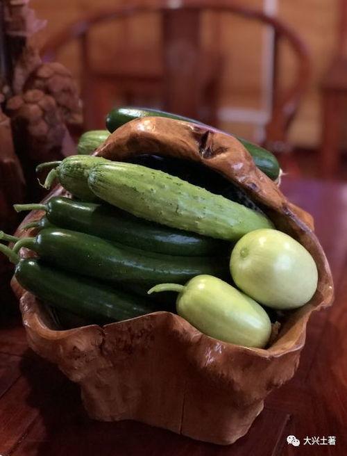 网红大瓜在哪找